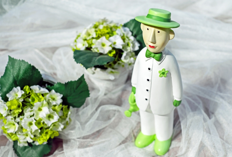 boutique-FIGANIERES-min_man-person-flower-green-toy-fig-546529-pxhere.com